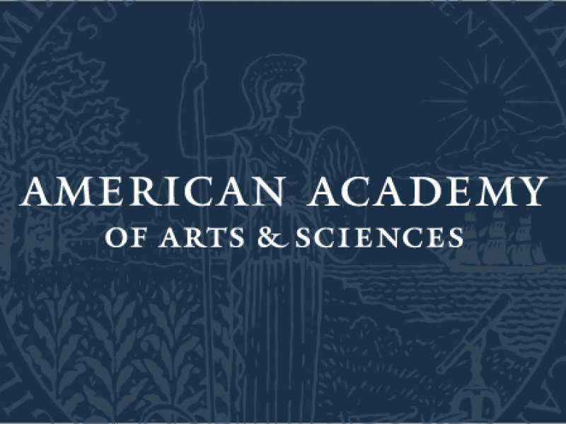 Video The Civil Justice Gap (American Academy of Arts & Sciences 2020